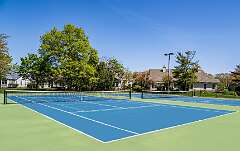 33: tennisPickleball